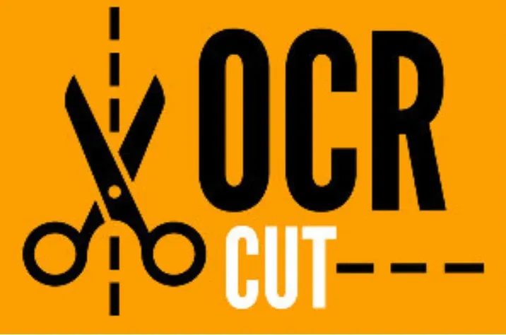 Newsletter – November 2025